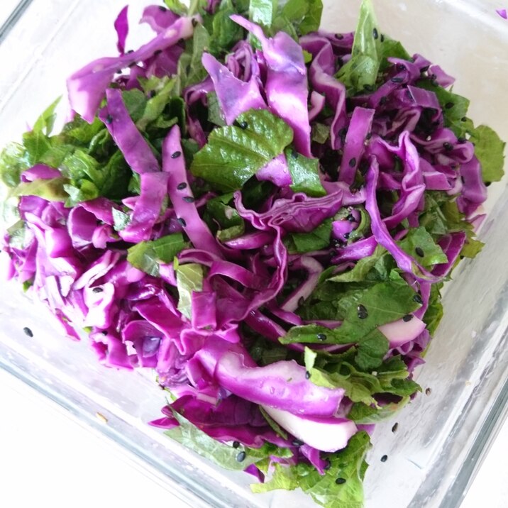 紫キャベツとシソのサラダ